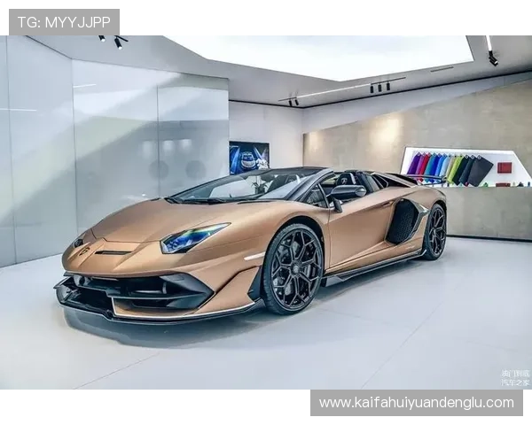 在EVO厅中发现多样化的游戏模式，满足不同玩家的个性化需求